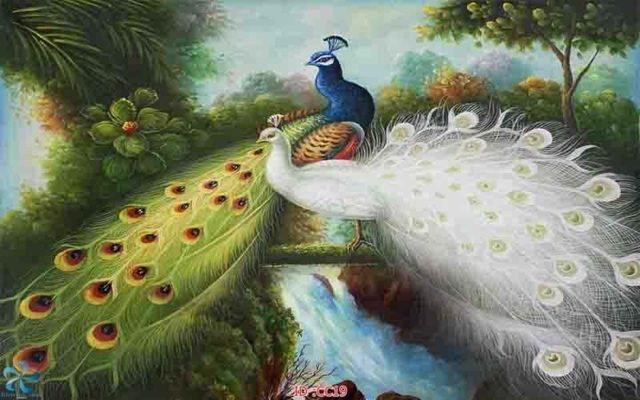 tranh kính 3d chim công