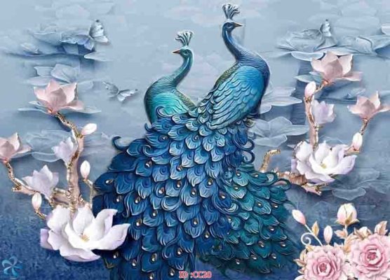 tranh kính 3d chim công