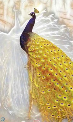 tranh kính 3d chim công