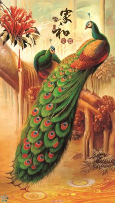 tranh kính 3d chim công