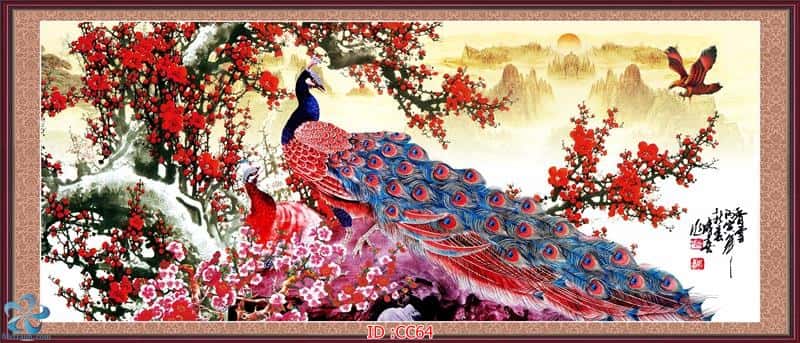 tranh kính 3d chim công