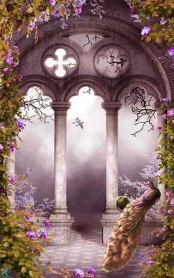 tranh kính 3d chim công