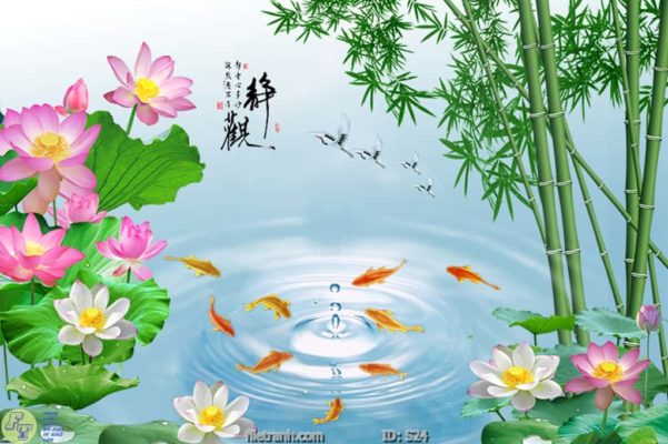 tranh kính cá chép cữu ngư quần hội