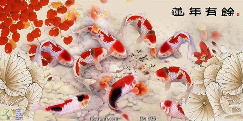tranh kính cá chép cữu ngư quần hội