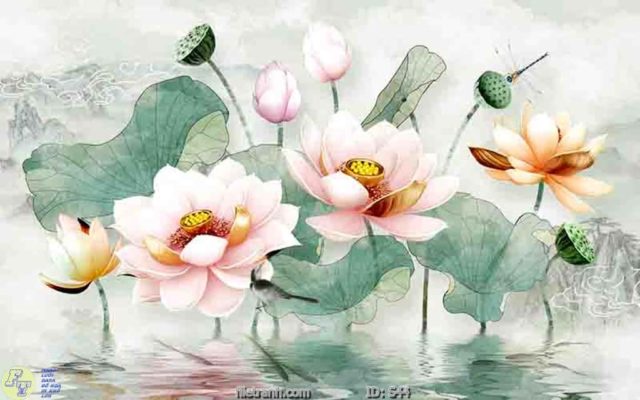 tranh kính cá chép cữu ngư quần hội