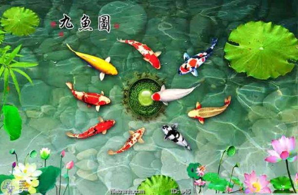tranh kính cá chép cữu ngư quần hội