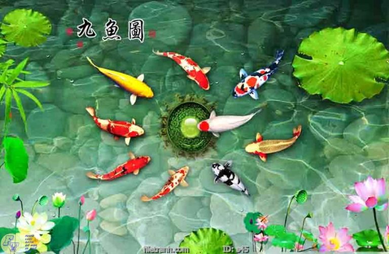 Tranh Kính Ốp Bếp Cá Chép