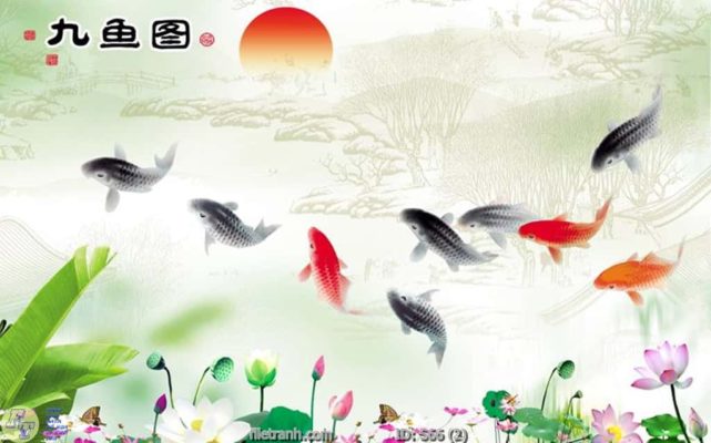 tranh kính cá chép cữu ngư quần hội
