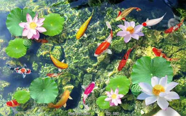 tranh kinh sen ca 3d cuu ngu quan hoi 79