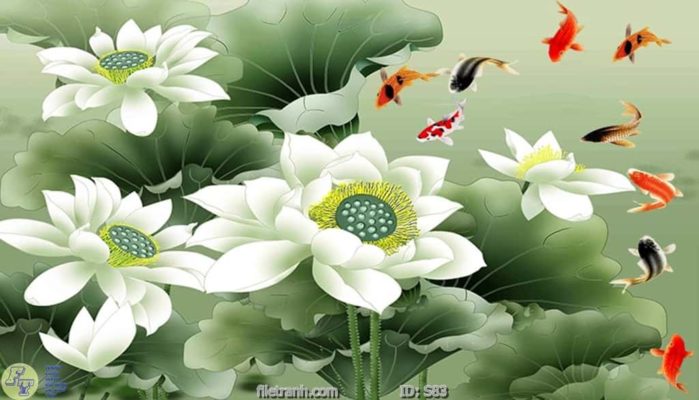 tranh kính cá chép cữu ngư quần hội